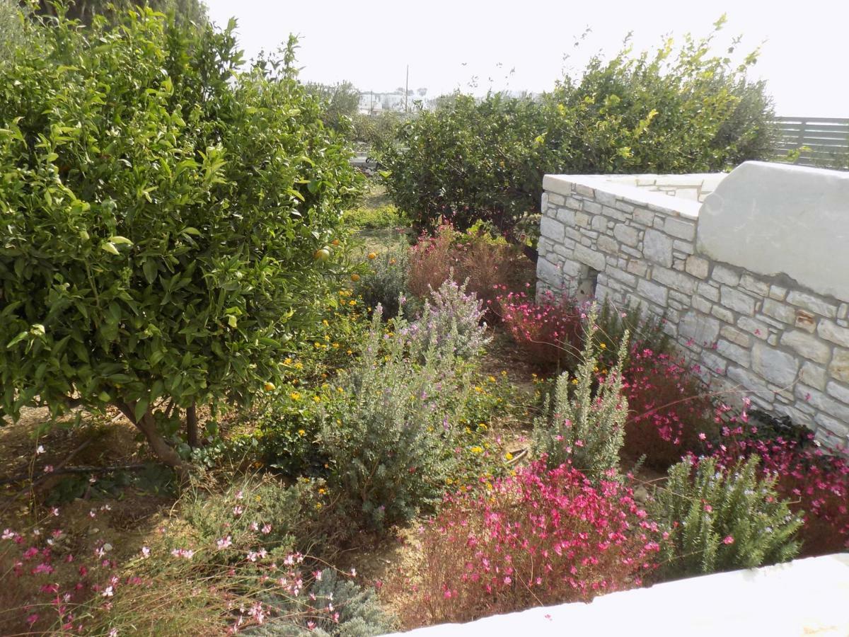 Márpissa Villa Evilia מראה חיצוני תמונה
